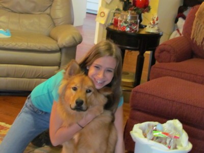 RE: Golden Retriever Chow Mix Puppy