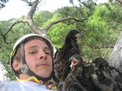 RE: Link: Live Eagle Cam (Norfolk Botanical Gardens, Virginia)