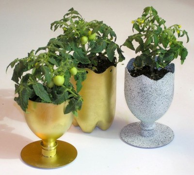 Soda bottle as a beautiful tomato planter