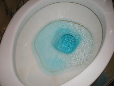 Toliet ring before
