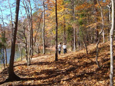 RE: Fall Colors (Warren County, NC)