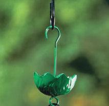 RE: A Remedy for Ants in the Hummingbird Feeder