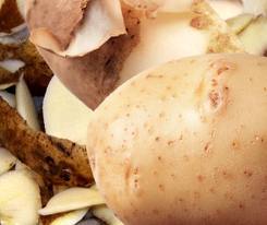 RE: Unclogging a Garbage Disposal