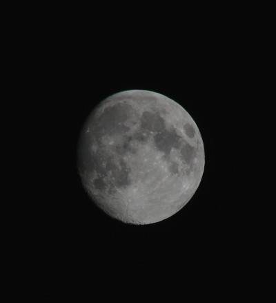 RE: Scenery: Full Moon Through A Tree