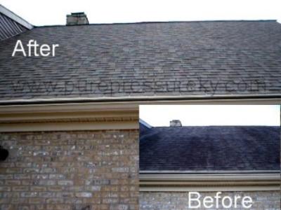 RE: Black Streaks on Roof (Mold)