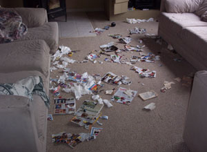 Dog tearing up papers