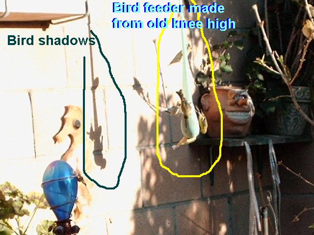 RE: Keep Birds Out of the Garden