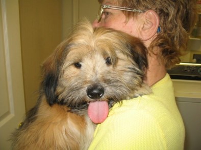 RE: Someting to Carry a Puppy In