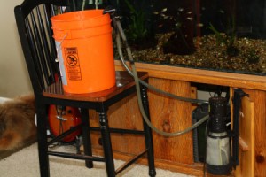 Vortex filter set-up