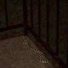 Very dark photo of a snake