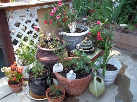 A mini rose garden with fountain outside.