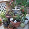 A mini rose garden with fountain outside.