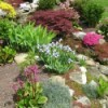 Flowering rock garden