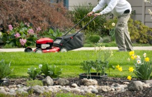 Walk Behind Mower