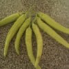 Closeup of banana peppers on a countertop