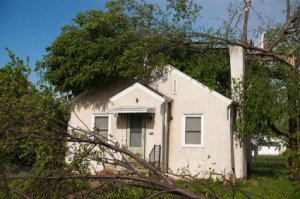 Fallen tree on house