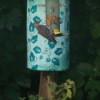 A woodpecker at a bird feeder