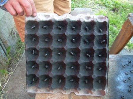Egg carton used to hold screws for painting