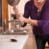 Getting Rid of Cockroaches, Woman about to hit a cockroach with a frying pan.