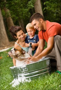 Bathing the Family Dog