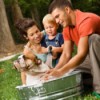 Bathing the Family Dog
