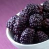 Blackberries in a white bowl.