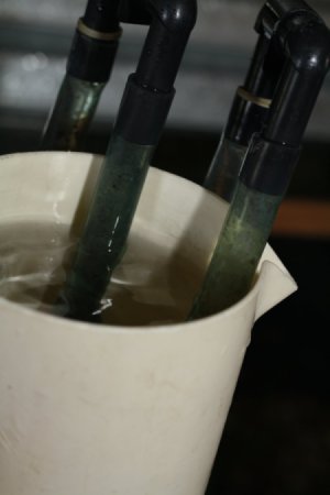 Pitcher Out of Water