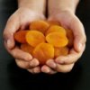 Someone holding a handful of dried apricots.