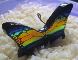 Earring in container of rice to stabilize it