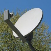 Satelite dish against a tree in background.