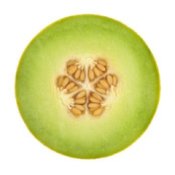 Crosssection of a Honeydew
