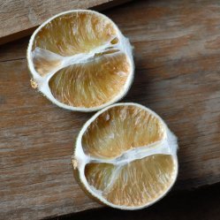 Dried lime cut in half.