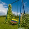 Garden swing with wire woven between side bars and vine growing up the side