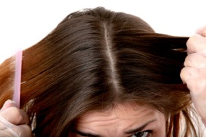 Woman Combing Dandruff from Her Hair