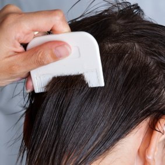How do you get rid of head lice in your home after an infestation?