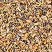 Mixture of Many Kinds of Seeds