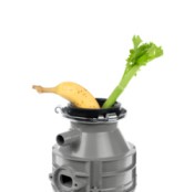 Celery and Banana Going into Garbage Disposal