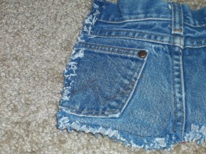 Cut off pair of blue jeans viewed from the back.