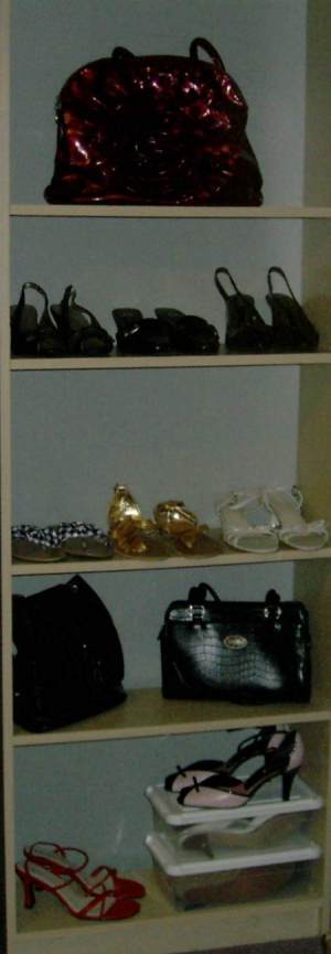 Shoes and handbags stored on bookshelf.