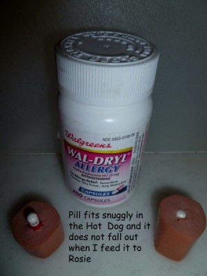 Bottle of Wal-Dryl and two hot dog pieces with pills inserted into holes made by mixer beater.