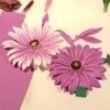 Paper Daisies