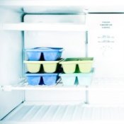 Ice Cube Trays in a Freezer