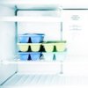 Ice Cube Trays in a Freezer