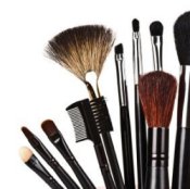 A selection of brushes used to apply makeup.