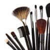 A selection of brushes used to apply makeup.
