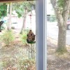 Windchime hanging from a shelf by a binder clip.