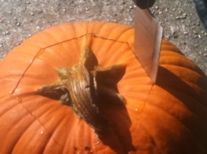Cuting stem out of pumpkin