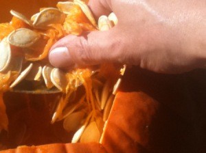 Removing seeds from pumpkin
