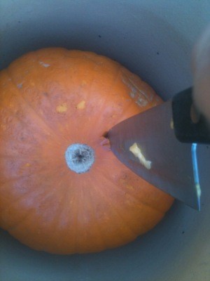 Cutting drainage holes in Pumpkin