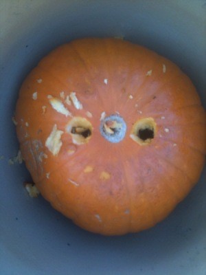 Drainage holes in bottom of pumpkin planter